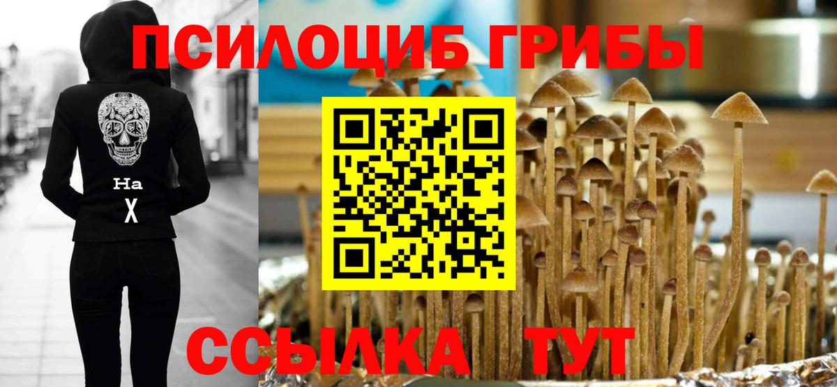 Кингисепп  Псилоцибиновые грибы GOLDEN TEACHER  Вход с VPN 