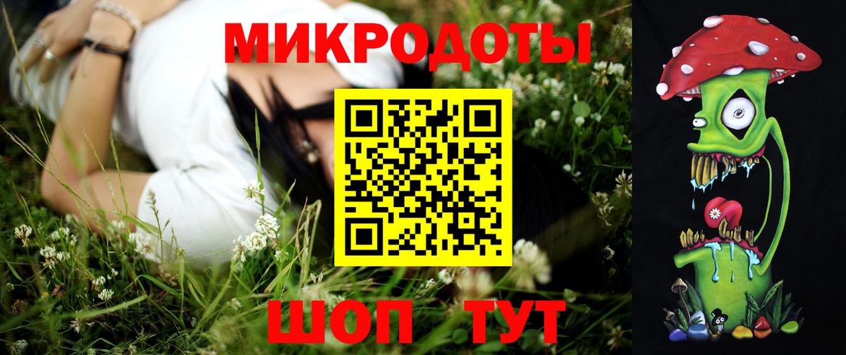Галлюциногенные грибы Cubensis Кингисепп