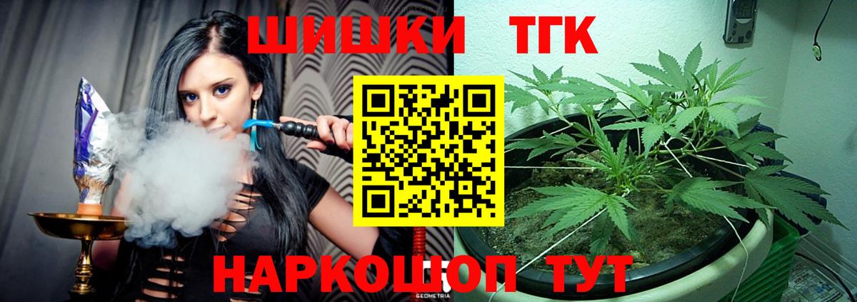 Кодеин Кингисепп